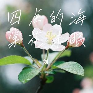 四点的海棠花未眠 (Cover 渡)