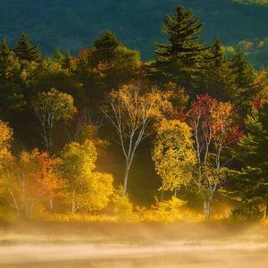 [free] “回家路” [way back home]JerseryClub type beat