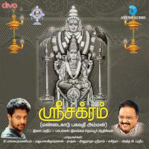 Maasi Peruvizha Karaoke