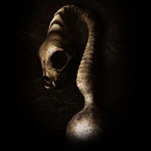 Who Controls (Tony Rohr & Layton Giordani Remix)