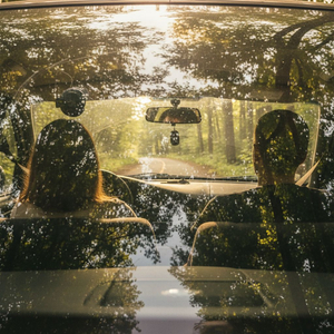 Echoes in the Windshield