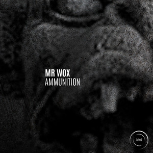 Ammunition (Original Mix)