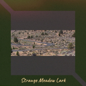 I Don't Want To Go On Without You