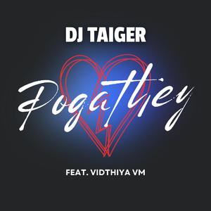 Pogathey (feat. Vidthiya VM)