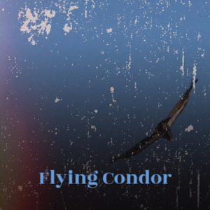 Heavy Cross-Cristian Stolfi & Ariano Kina Skit Club Mix-