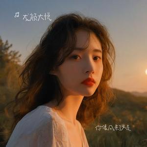 你像风来了又走