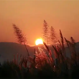 半生忆过往 (烟嗓版)