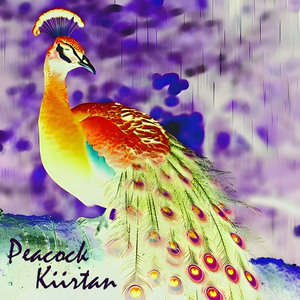 Peacock Kiirtan