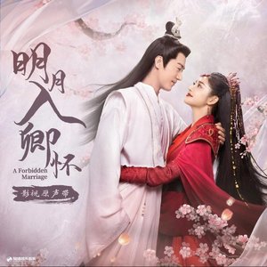 月儿明（翻自 杨舒淇）