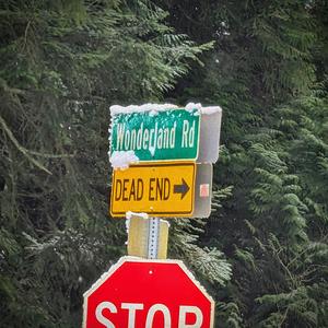 CAN'T STOP WON'T STOP (feat. Łenn)