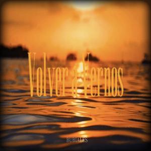 VOLVER A VERNOS