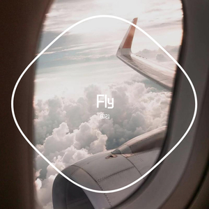 Fly
