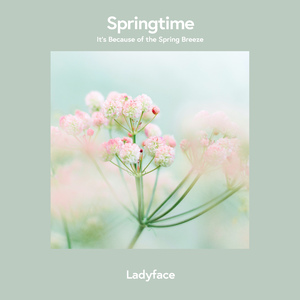 Spring is Dazzling (Inst.)