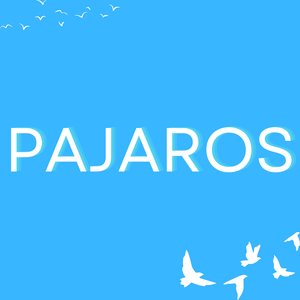 Pajaros