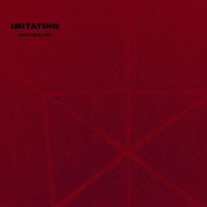 Imitating (feat. Edwin Rivera)