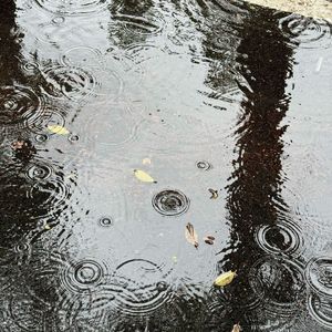 雨中悲行
