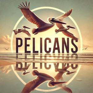 Pelicans