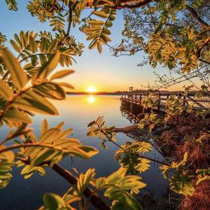 带我到山顶（DJ阿轩版）