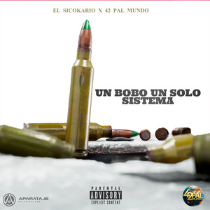 Un Bobo Un Solo Sistema