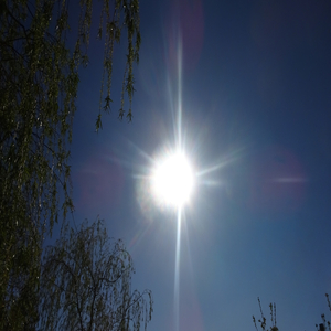 Lets Go into the Sunshine (Sunshineee Mixx)