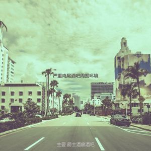 精彩酒店酒吧环境