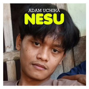 Nesu