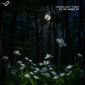 Fly My Angel (Extended Mix)