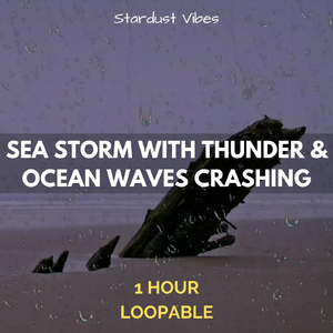 Sea Storm with Thunder & Ocean Waves Crashing: One Hour (Loopable)