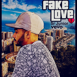 Fake Love