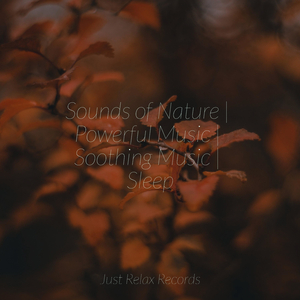 Echoes from Stained Glass