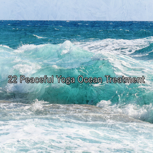 短暂的海岸漫步