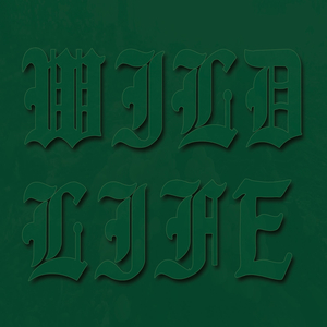 Grey Cap - Weitaweiai