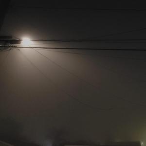 Haunt