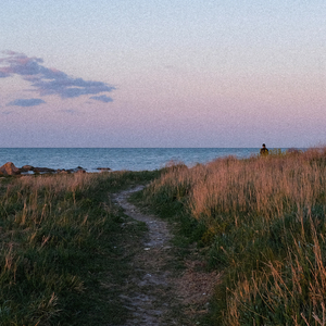 The peace in your eyes