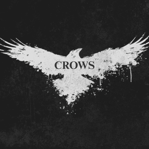 Crows