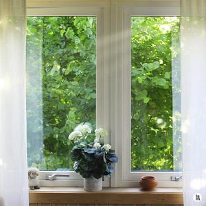 갈매기가 우는 바닷가