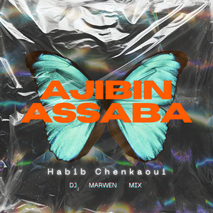 Ajibin Asaba