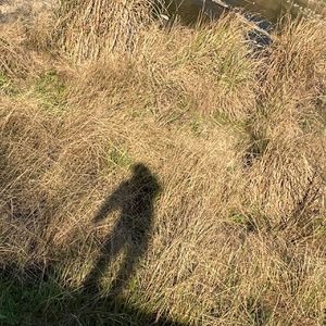 给我(demo)Prod.Chillen