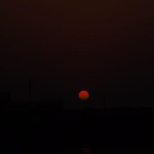 Froggy-枯萎（重力 remix）