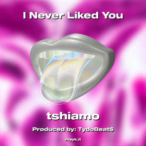 I Never Liked You