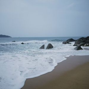 我是一只鱼(女声版)