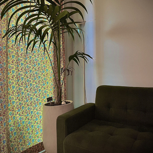 사랑하지 않을 수 없죠