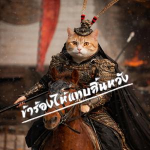 ข้าร้องไห้แทบสิ้นหวัง (Live Version)