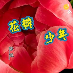花瓣少年