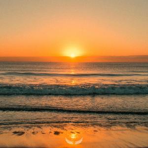 NI VALLARTA NI CANCÚN