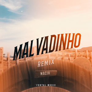 MALVADINHO (Remix)