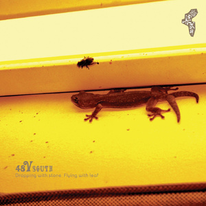 掠过半球的候鸟