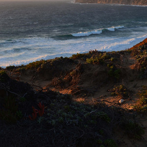 世界上有两个我