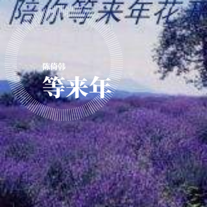 陈倚韩-乘风无梦