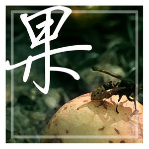 烂透未熟的果 伴奏